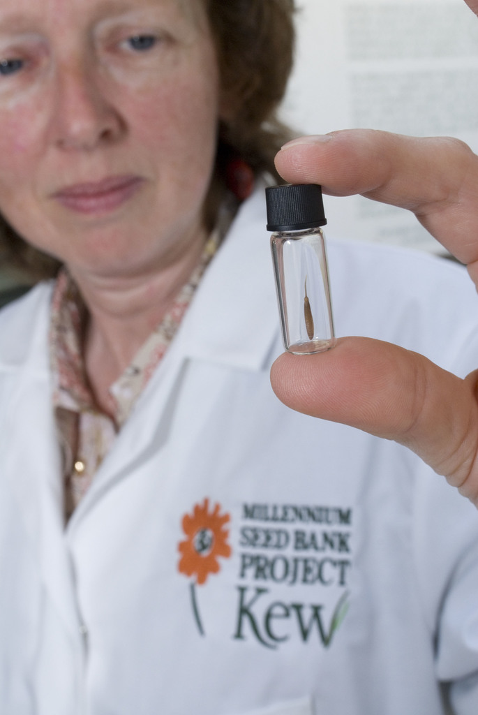 Janet holding a small glass vial containing a seed